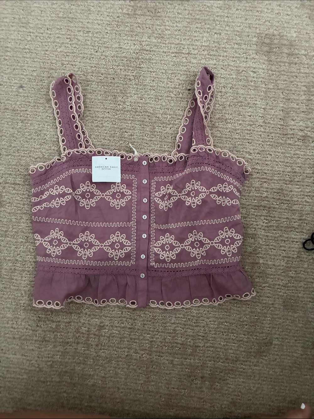 American Eagle Outfitters Mauve Eyelet Embroidered Crop Top